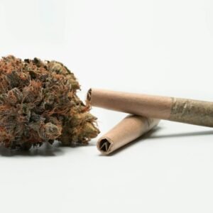 Cannabis pre-rolls next to a flower bud