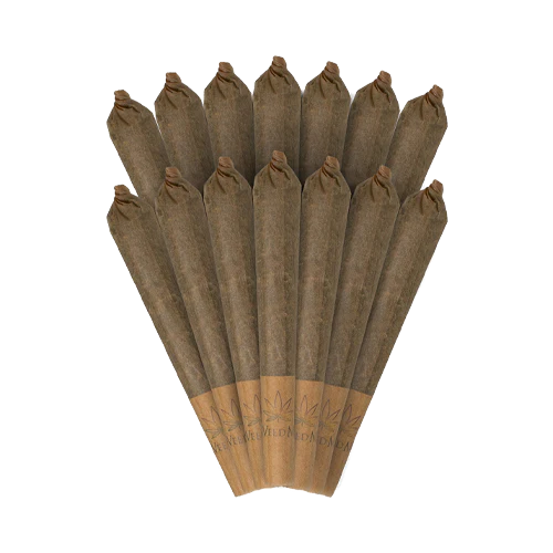 Pack of 10 - AAA+ Pre Rolls
