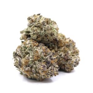 Gelato Dream – (A.A.A)
