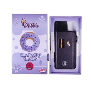 BURN 3ML DISPOSABLE VAPES – BLUEBERRY Donut THC DISTILLATE