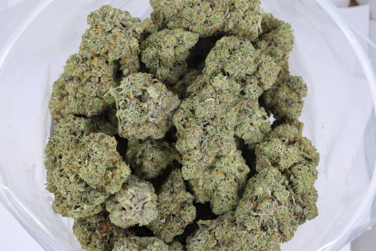 California Dream AAAA