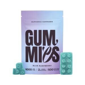 Euphoria – Blue Raspberry THC Gummies (1000mg)