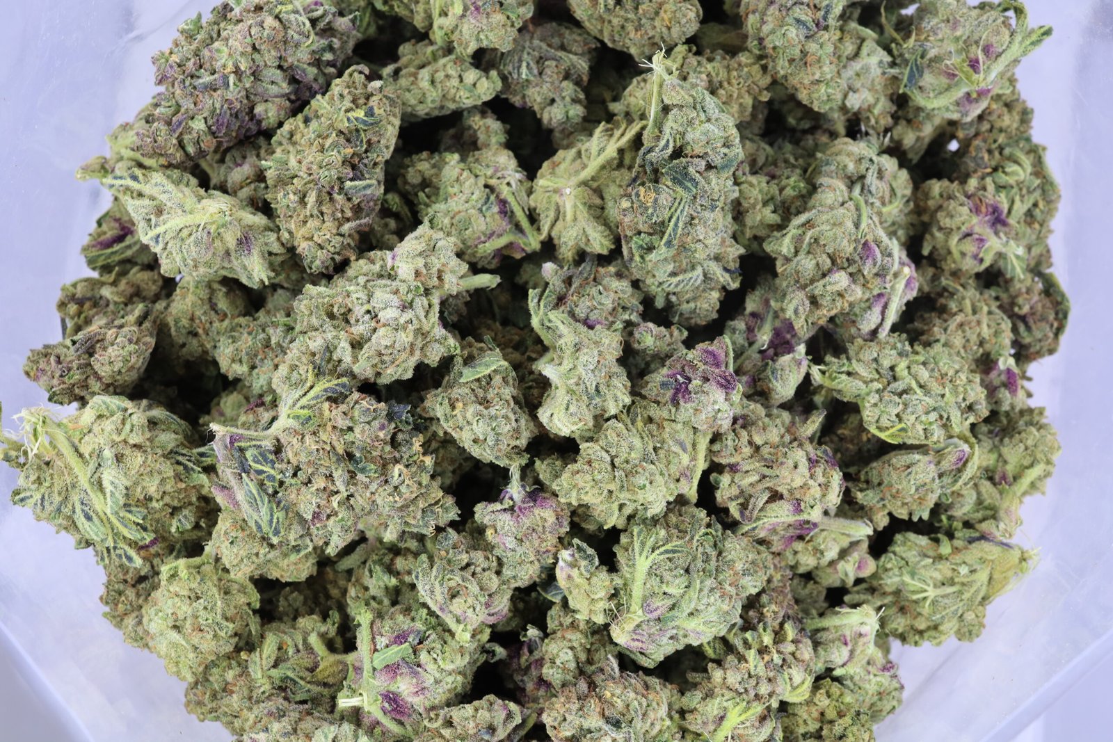 1 Ounce Deal – Panama Powerhouse AA+